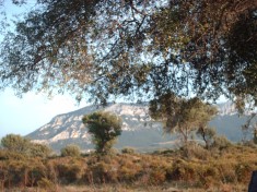panorama
