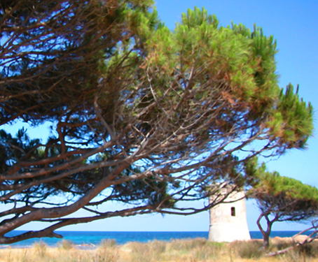 strand i La Caletta